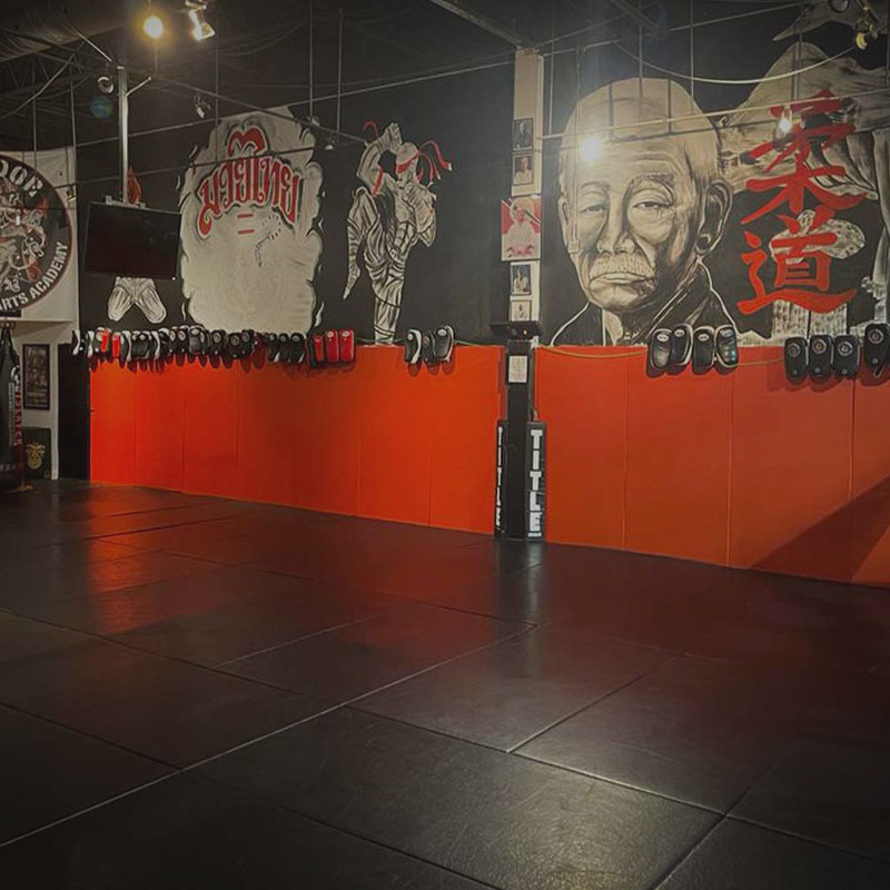 Matador MMA training mats and wall artwork